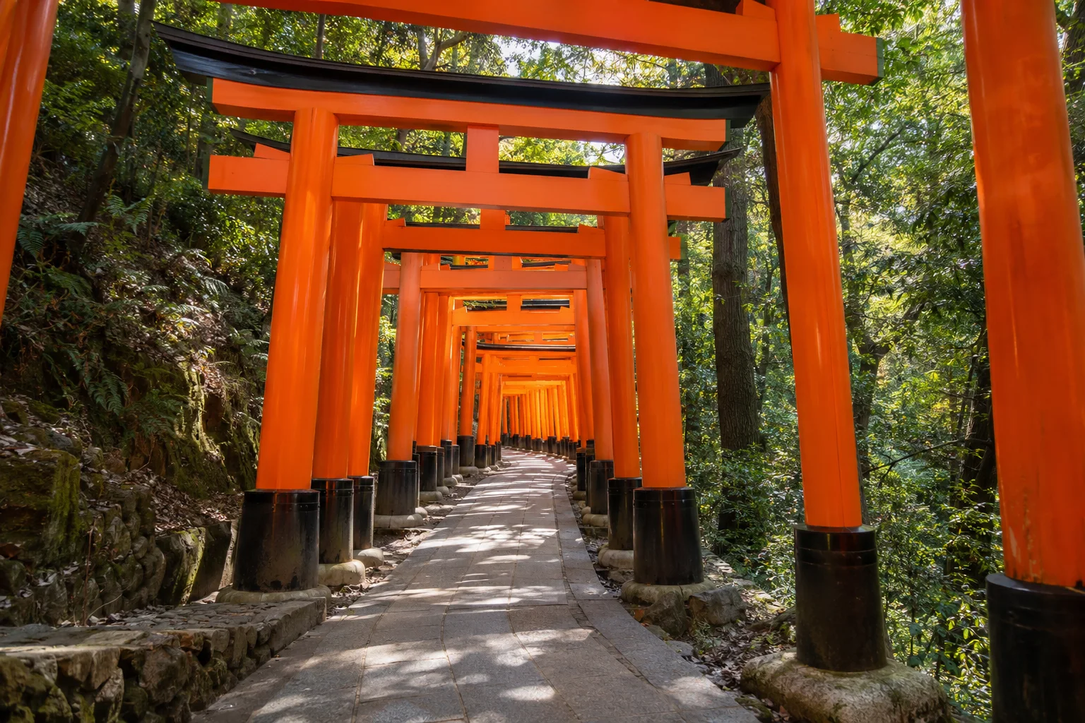 京都伏見稻荷千本鳥居步道